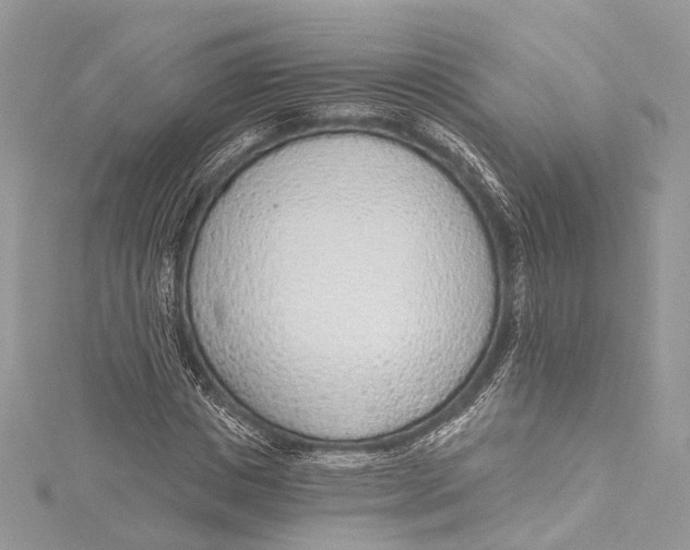 X0000115650825200912011520