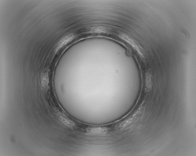 X0000115650826200912011520