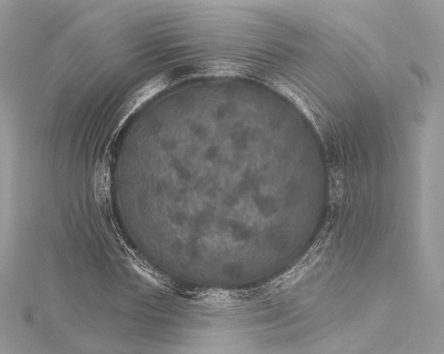 X0000115650827200912011520