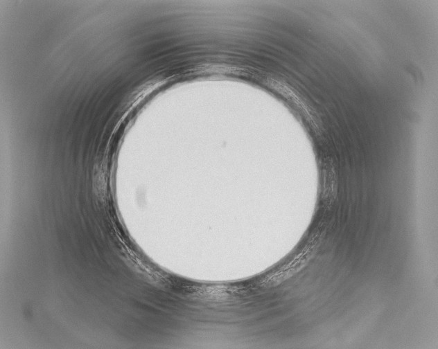 X0000115650828200912011520