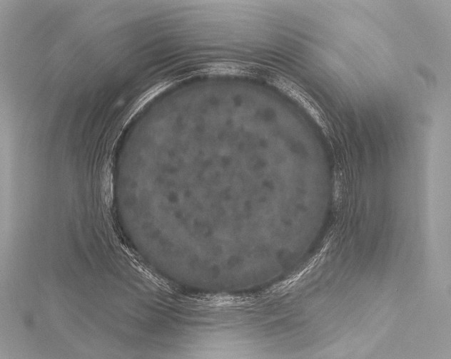 X0000115650829200912011520