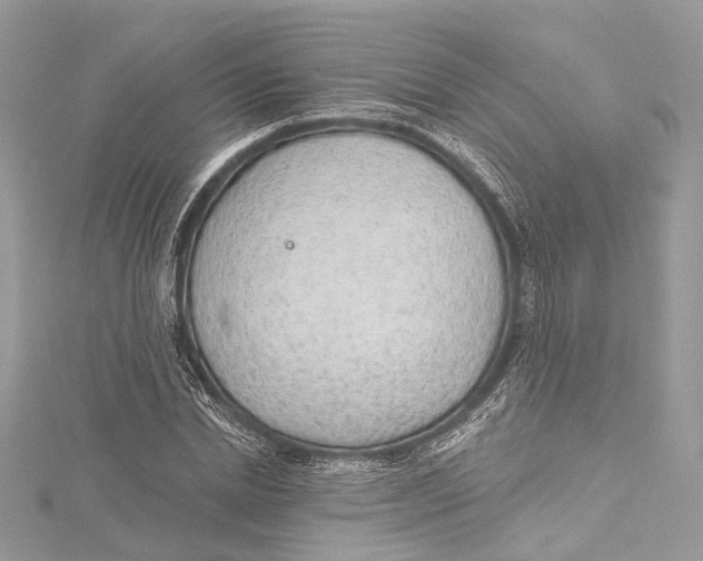 X0000115650830200912011520