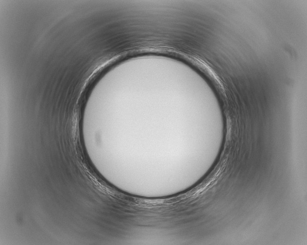 X0000115650831200912011520