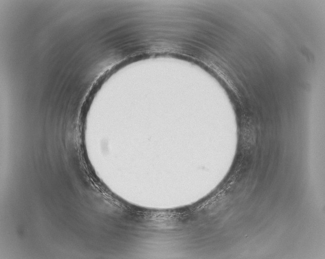 X0000115650832200912011520