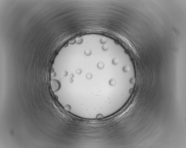 X0000115650833200912011520