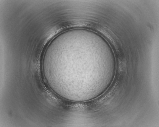 X0000115650834200912011520