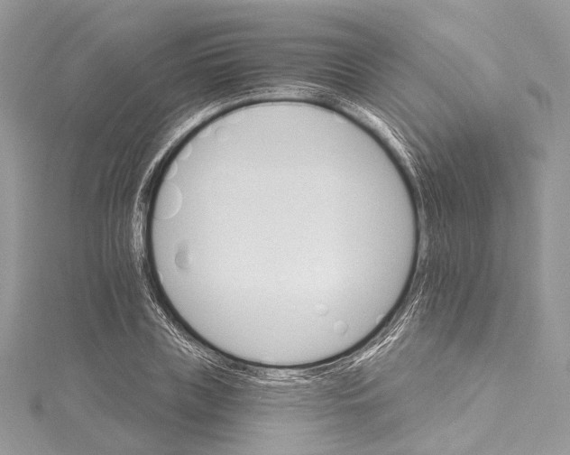 X0000115650835200912011520