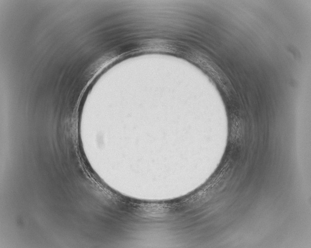 X0000115650836200912011520