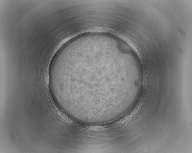 X0000115650837200912011520