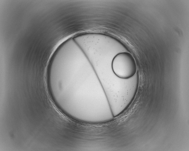 X0000115650838200912011520