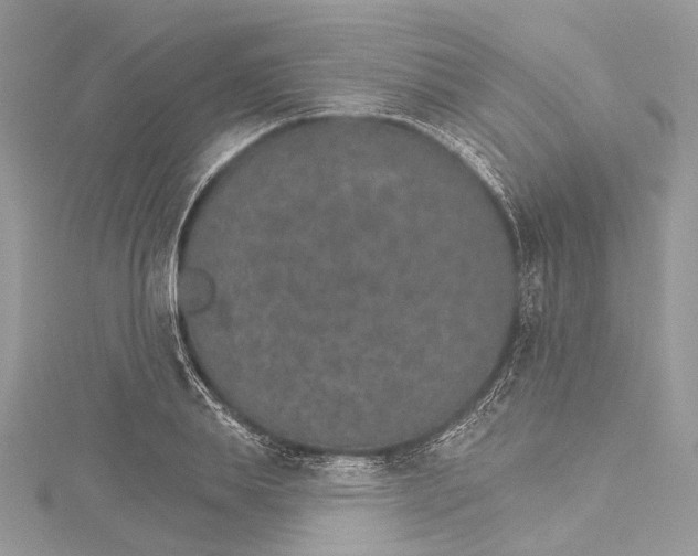 X0000115650839200912011520