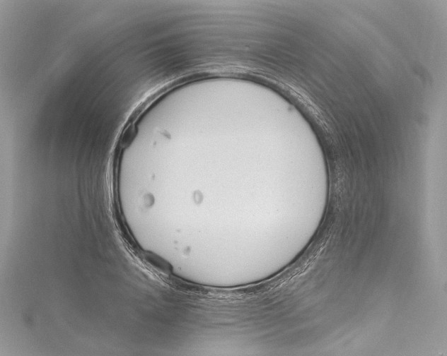 X0000115650840200912011520