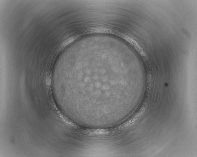 X0000115650841200912011520