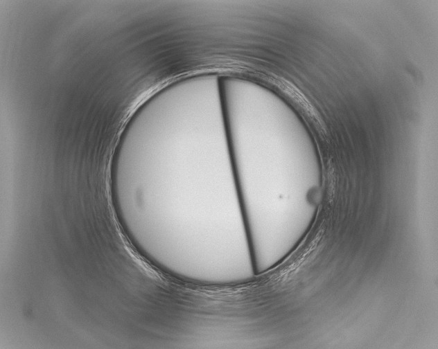 X0000115650842200912011520