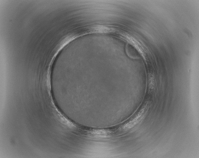 X0000115650843200912011520