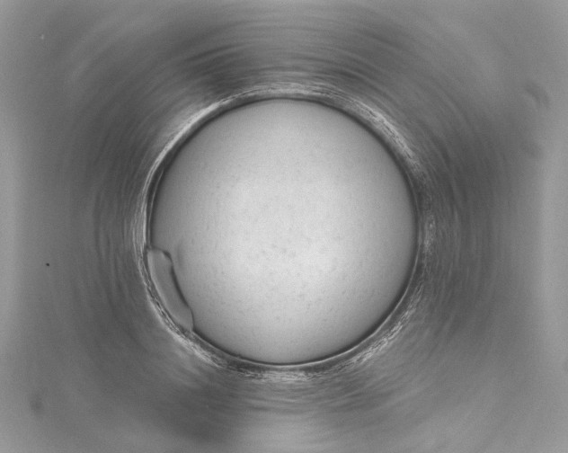 X0000115650844200912011520