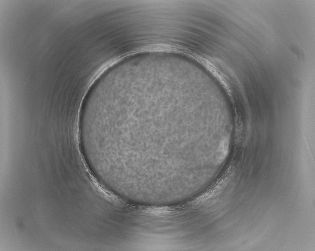 X0000115650845200912011520