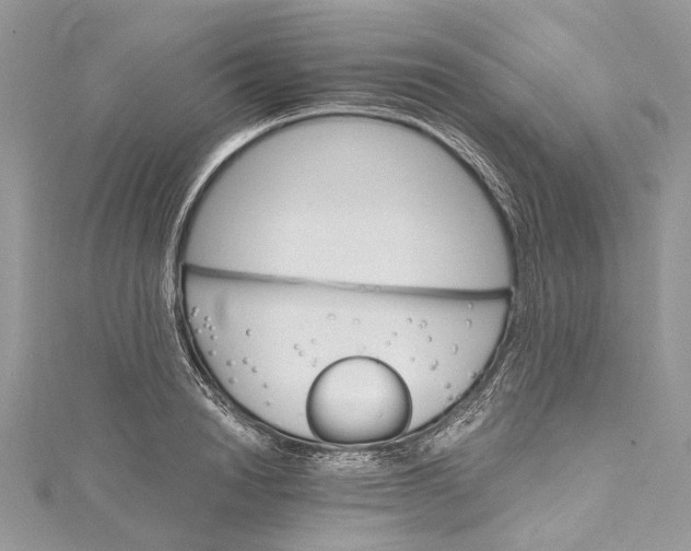 X0000115650846200912011520