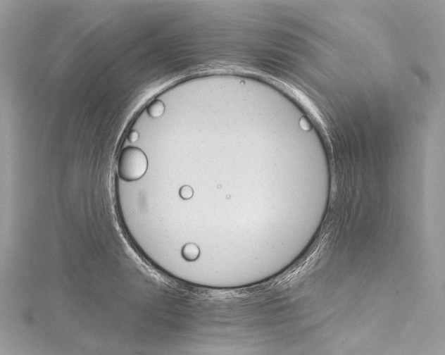 X0000115650847200912011520