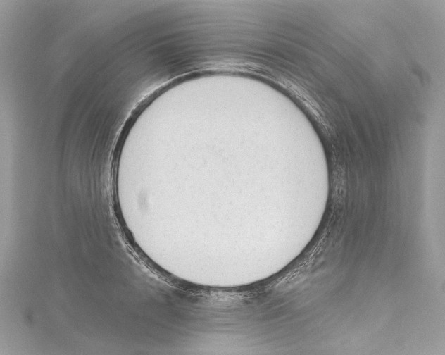 X0000115650848200912011520