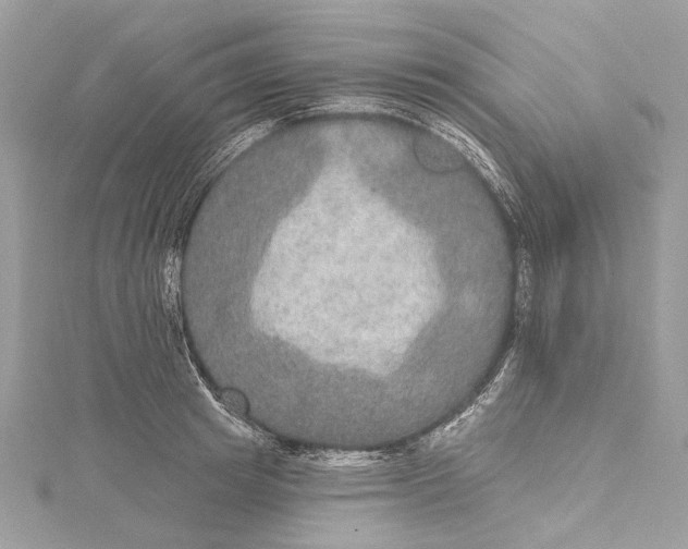 X0000115650849200912011521