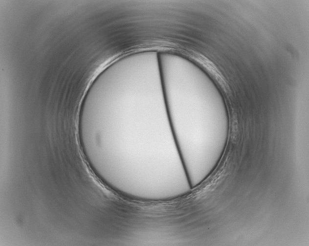 X0000115650850200912011521