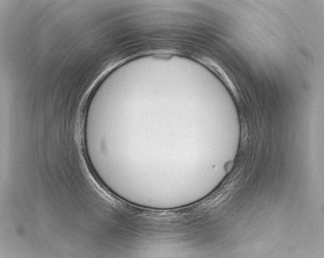 X0000115650851200912011521