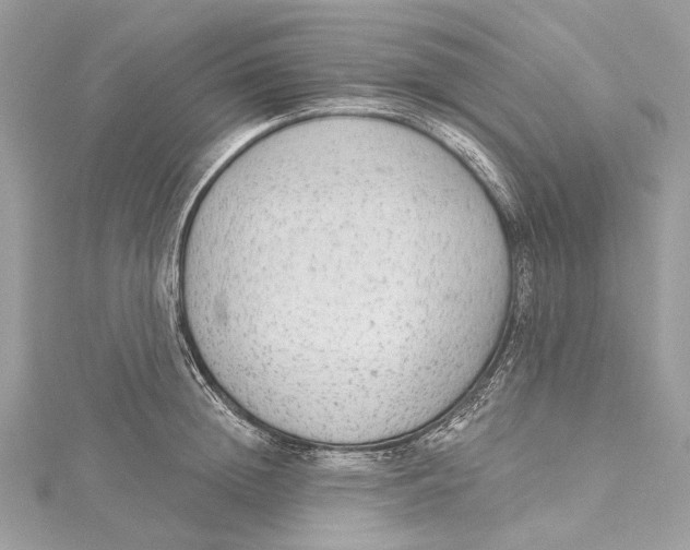 X0000115650852200912011521