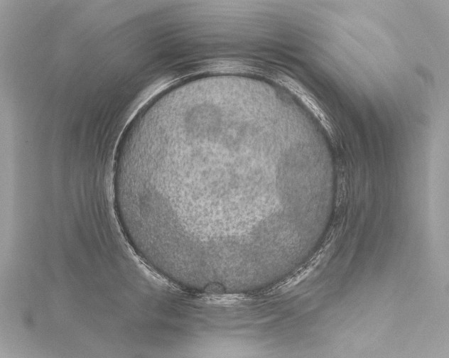 X0000115650853200912011521