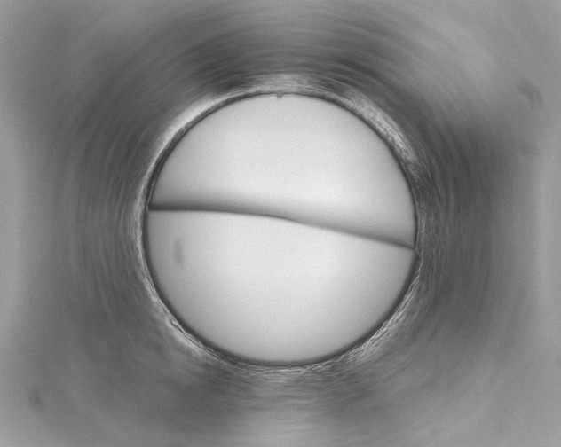 X0000115650854200912011521