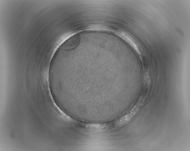 X0000115650855200912011521