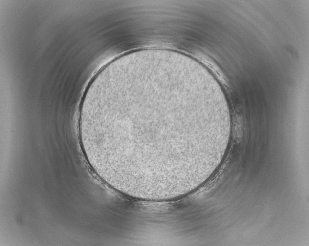 X0000115650856200912011521