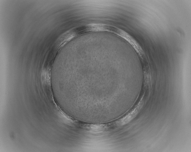 X0000115650857200912011521