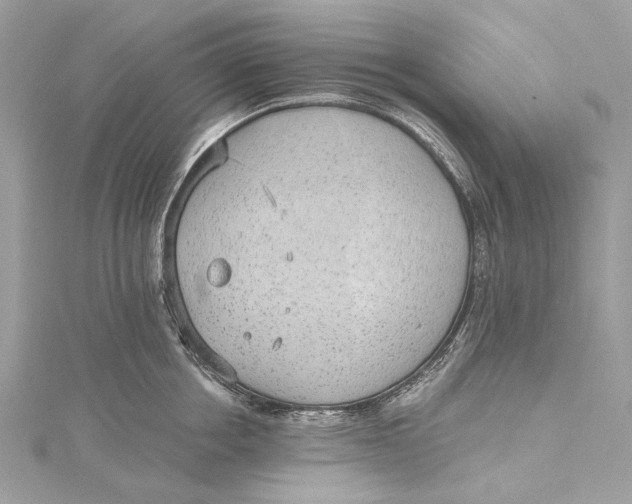 X0000115650858200912011521