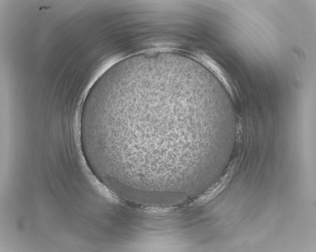 X0000115650859200912011521