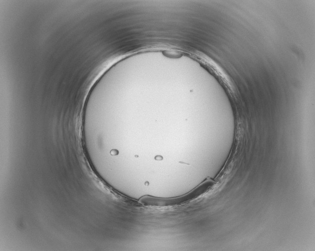 X0000115650860200912011521