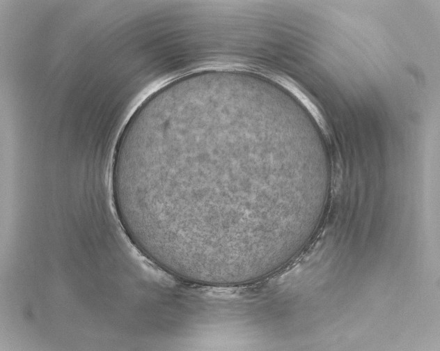 X0000115650861200912011521