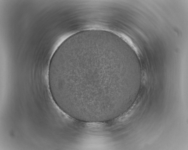 X0000115650863200912011521