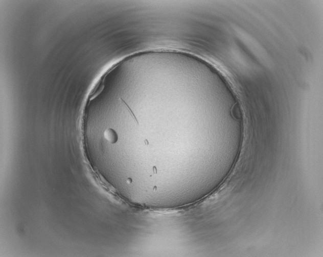 X0000115650864200912011521