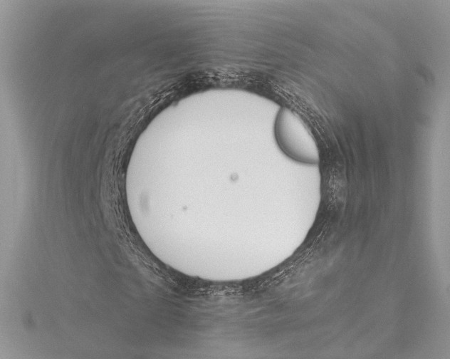 X0000115650865200912011520