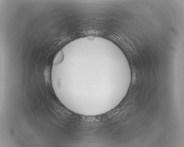 X0000115650866200912011520