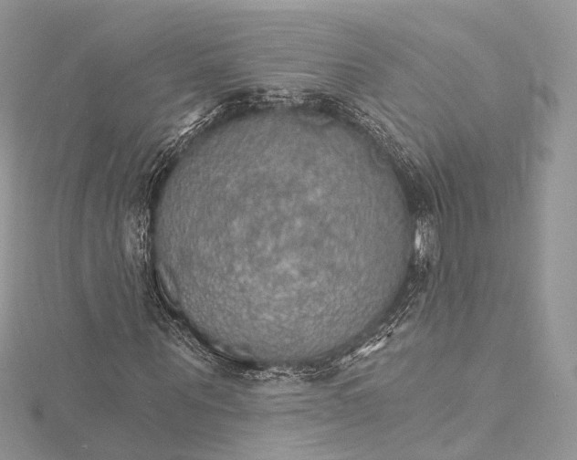 X0000115650867200912011520