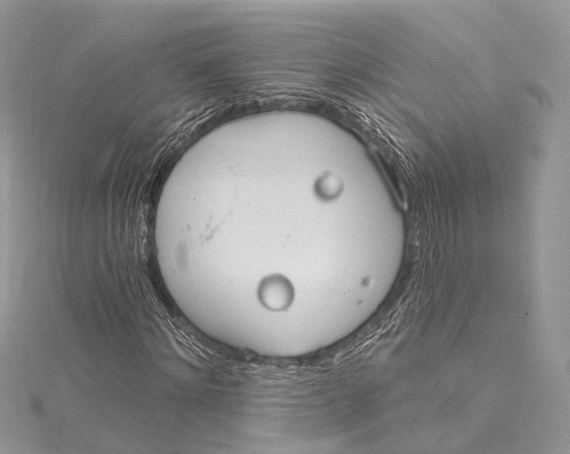 X0000115650868200912011520