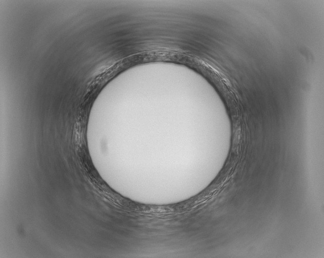 X0000115650869200912011520