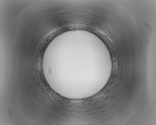 X0000115650870200912011520