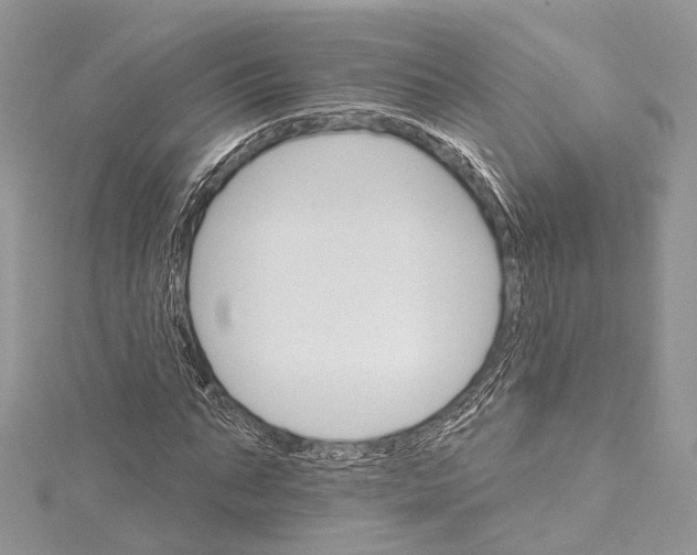 X0000115650871200912011520