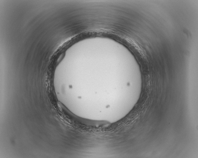 X0000115650872200912011520