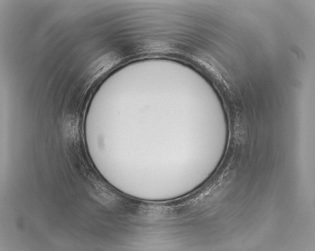 X0000115650873200912011520