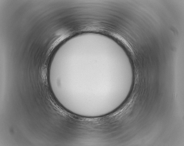 X0000115650874200912011520