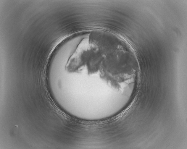 X0000115650875200912011520